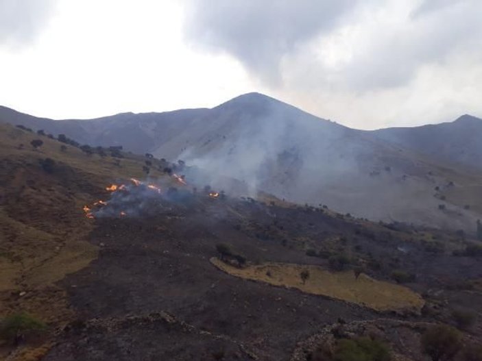 Gökçeada'da 30 hektarlık otluk alan yanarak kül oldu
