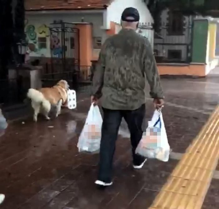 Çanakkale'de sahibine yardım eden köpek