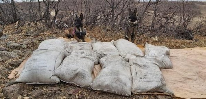 Bingöl'de PKK'ya ait 450 kilo 'amonyum nitrat' ele geçirildi  -2
