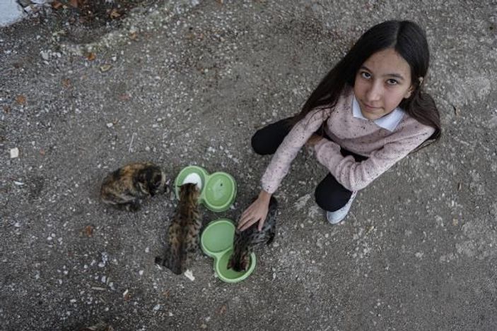 d Sokak kedileri için harçlığı yetmeyince KDK'ya başvurdu -4