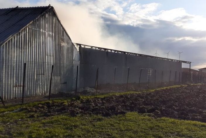 Çiftlikte çıkan yangın büyümeden kontrol altına alındı -3