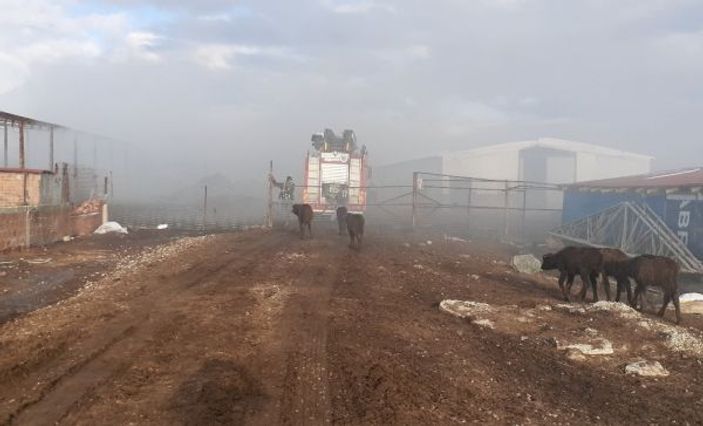 Çiftlikte çıkan yangın büyümeden kontrol altına alındı -2