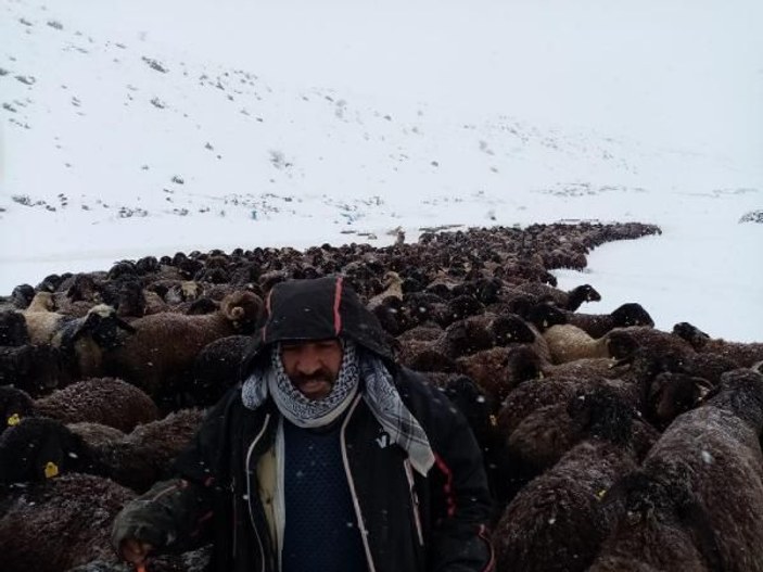 Karlıova'da mahsur kalan 2 bin 500 koyun kurtarıldı -1