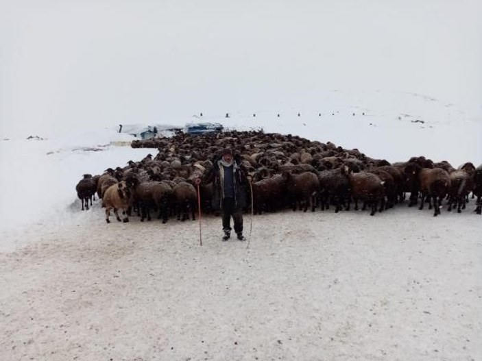 Karlıova'da mahsur kalan 2 bin 500 koyun kurtarıldı -5