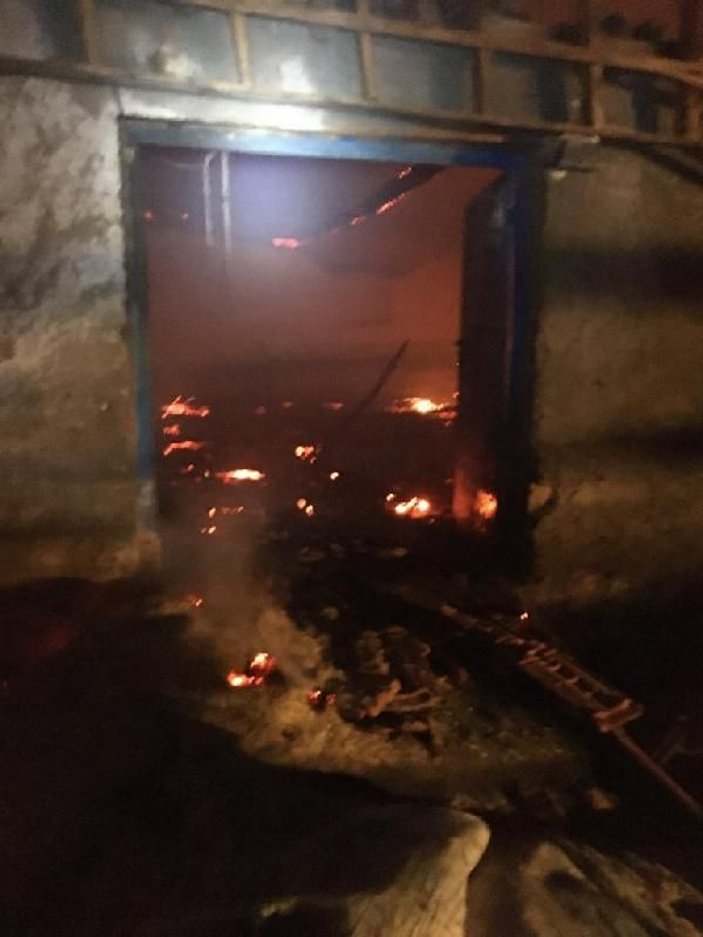 Ahırda yangın çıktı, 240 hayvan öldü -3