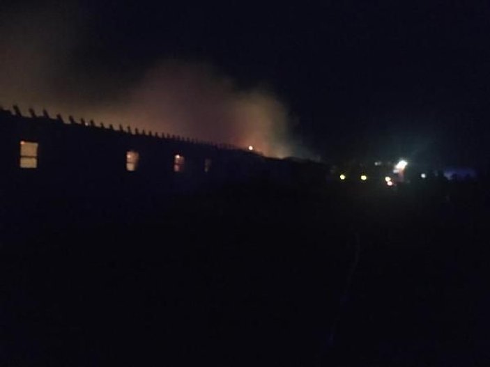 Ahırda yangın çıktı, 240 hayvan öldü -5