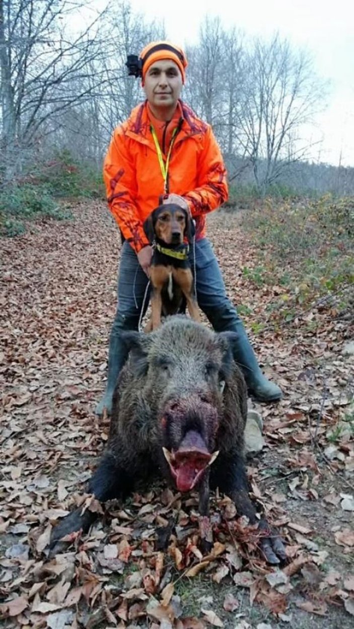 Avlamak istediği yaban domuzunun saldırısına uğrayan avcı ölümden döndü -4
