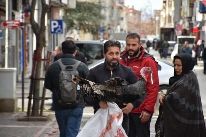 Yunan ve Bulgar turistler, Noel alışverişi için Edirne'ye akın ediyor -5