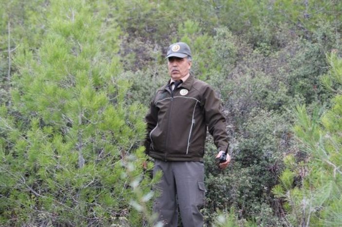 Yeni yıla çam ağacı nöbeti tutarak girecekler -4