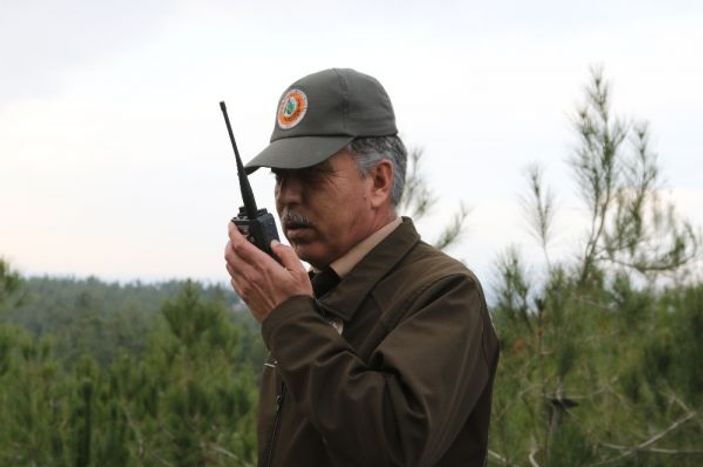 Yeni yıla çam ağacı nöbeti tutarak girecekler -2