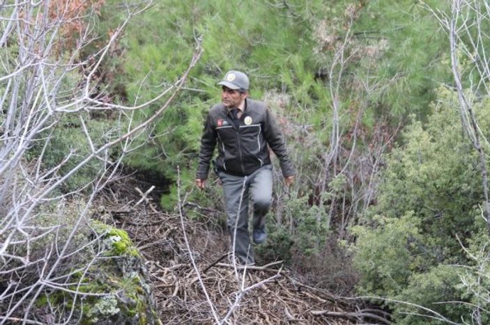 Yeni yıla çam ağacı nöbeti tutarak girecekler -5