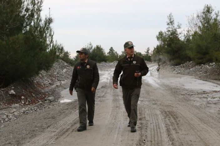 Yeni yıla çam ağacı nöbeti tutarak girecekler -3