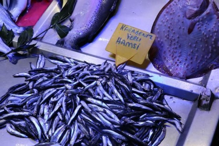 Karadeniz'de balık azlığı, fiyatlara yansıyor -7