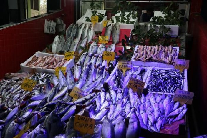Karadeniz'de balık azlığı, fiyatlara yansıyor -3