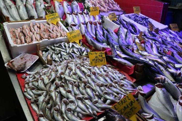 Karadeniz'de balık azlığı, fiyatlara yansıyor -2