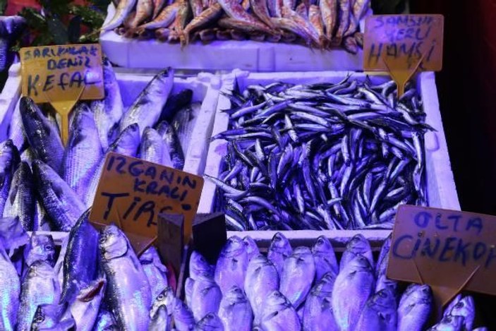 Karadeniz'de balık azlığı, fiyatlara yansıyor -4