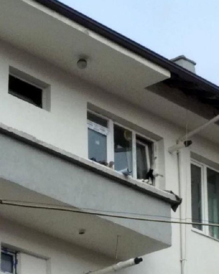 Pencerede sıkışan kediyi itfaiye kurtardı -2