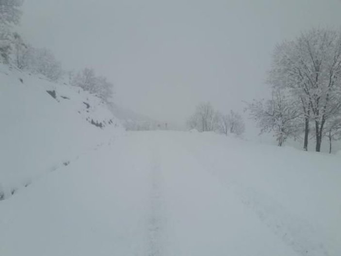 Bingöl'de 28 köy yolu kardan kapandı -1