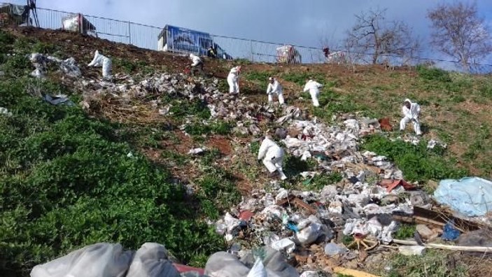 Adalar'da fayton temizliği; 25 ton atık çıkarıldı -2