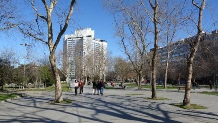 Ek fotoğraflar // Gezi Parkı'na 150 yeni ağaç dikiliyor -4