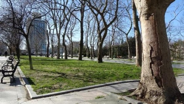 Ek fotoğraflar // Gezi Parkı'na 150 yeni ağaç dikiliyor -9