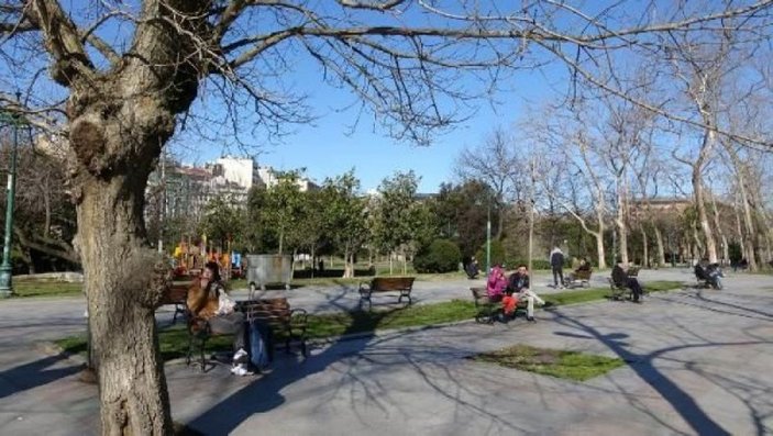 Ek fotoğraflar // Gezi Parkı'na 150 yeni ağaç dikiliyor -2