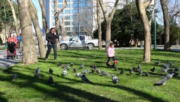 Ek fotoğraflar // Gezi Parkı'na 150 yeni ağaç dikiliyor -6