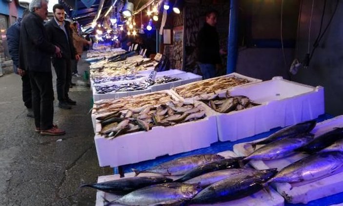 Balıkçılar, tombik balığını palamut diye satıyor