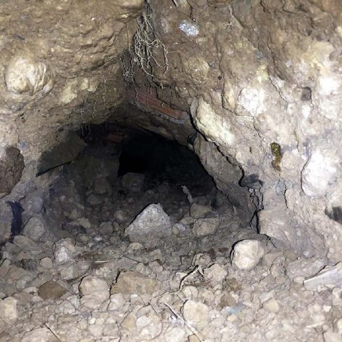Tünelde mahsur kalan 9 yavru köpek kurtarıldı
