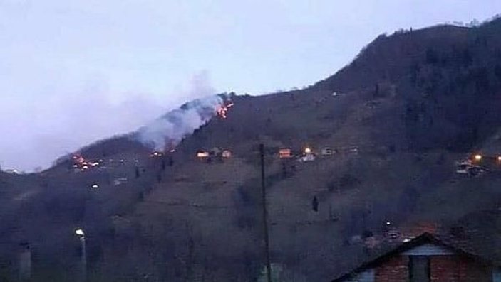 Trabzon'da 2 ayrı noktada orman yangını -1