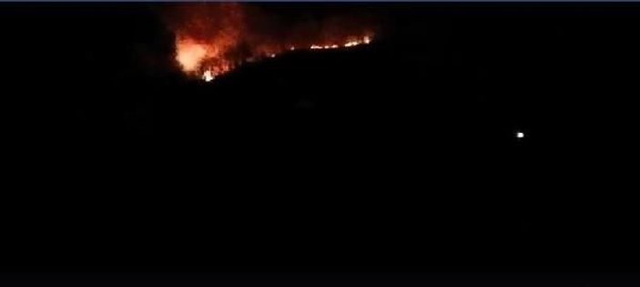 Trabzon'da 2 ayrı noktada orman yangını -2