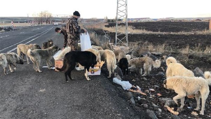 Polisler, yiyeceklerinden sokak köpeklerine verdi -7