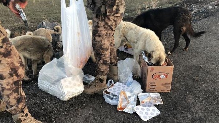 Polisler, yiyeceklerinden sokak köpeklerine verdi -6