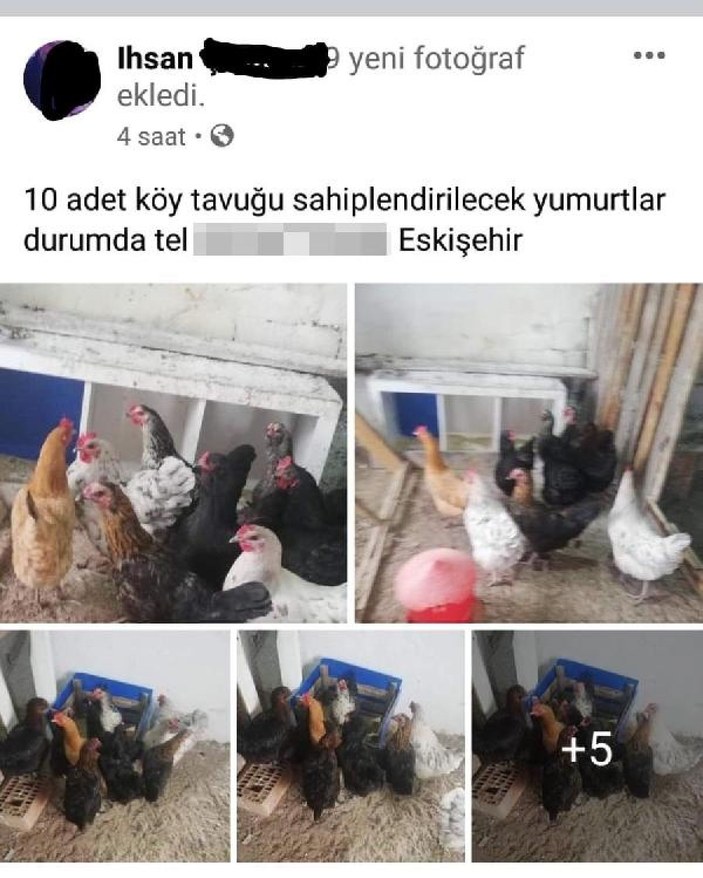 Çaldığı tavukları internetten satışa çıkarınca yakalandı -1