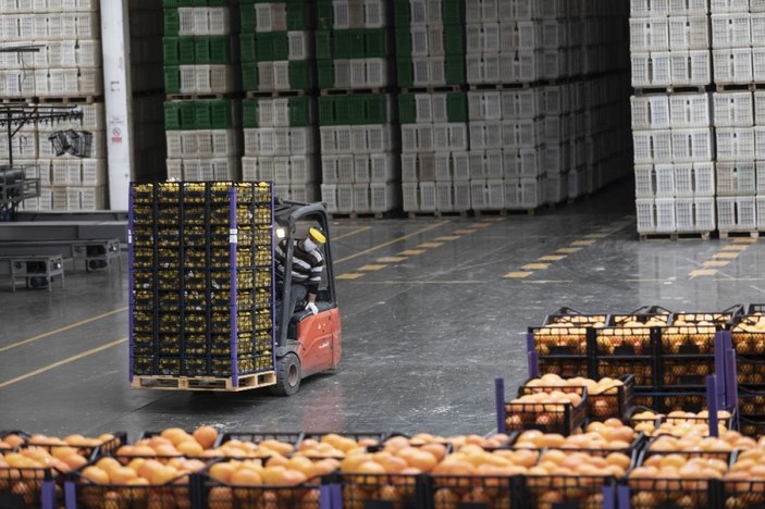 Mersin’den İstanbul'a 100 ton limon gönderildi