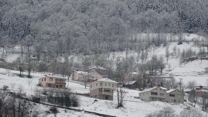 Doğu Karadeniz'in yükseklerinde kar yağışı -4