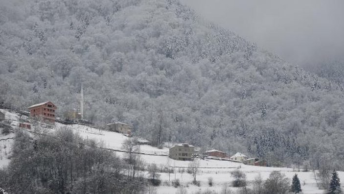 Doğu Karadeniz'in yükseklerinde kar yağışı -2