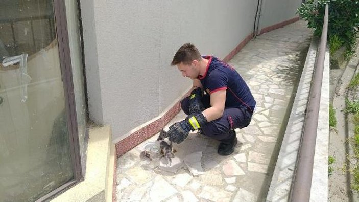 İtfaiye, duvarın arasına sıkışan kediyi kurtardı  -7