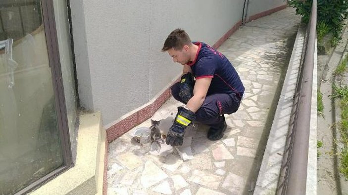 İtfaiye, duvarın arasına sıkışan kediyi kurtardı  -9