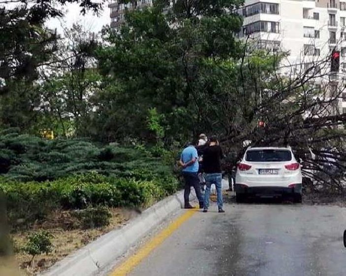 Ankara'da fırtına, günlük yaşamı olumsuz etkiledi -3