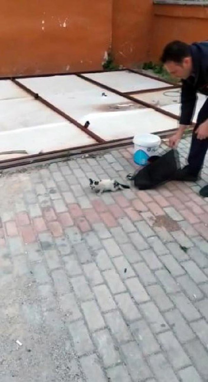Havalandırma boşluğuna düşen yavru kedi kurtarıldı