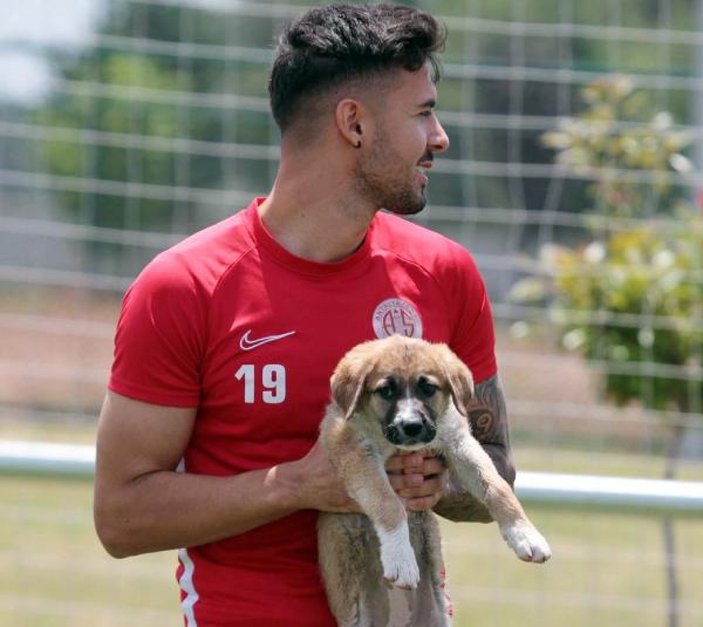 Antalyaspor, sitede doğan köpeklere sahip çıktı
