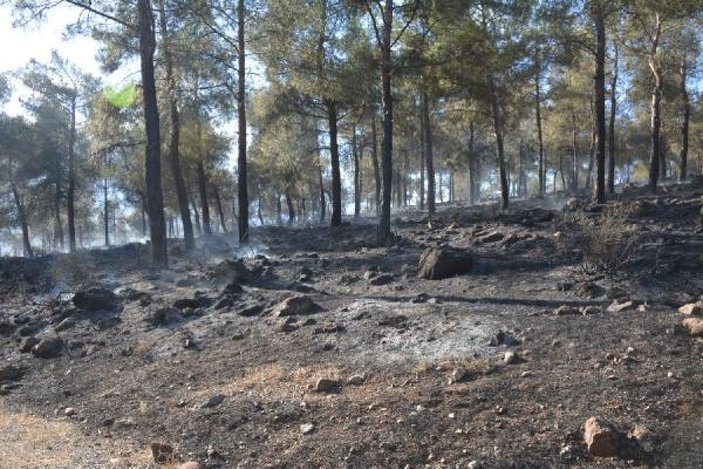 Kırıkhan'da orman yangını -5