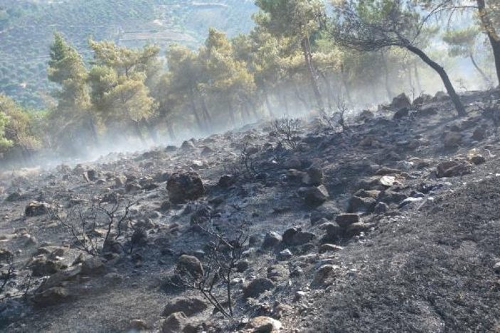 Kırıkhan'da orman yangını -4