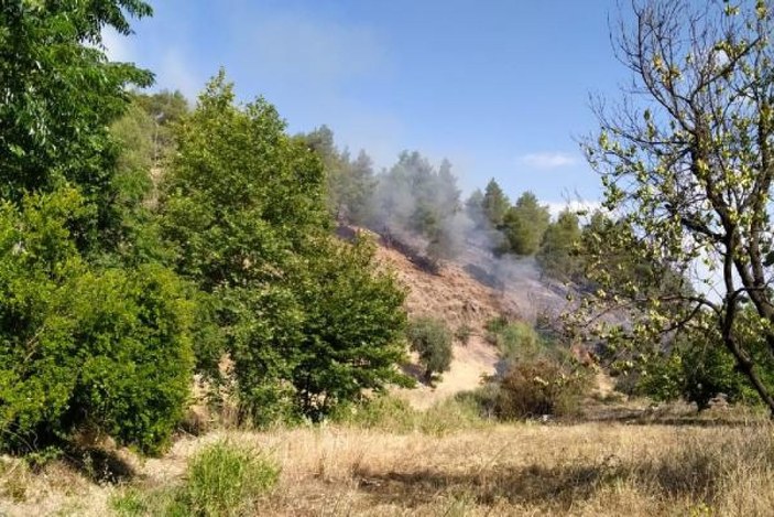 Kırıkhan'da orman yangını -2
