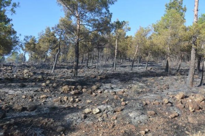 Kırıkhan'da orman yangını -6