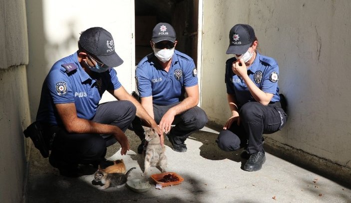 Karakolda doğum yapan kedi ve yavrularına polislerden şefkat eli -3