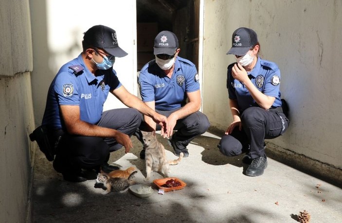 Karakolda doğum yapan kedi ve yavrularına polislerden şefkat eli -1