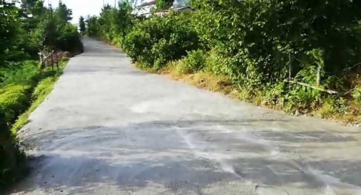 Yaşlı kadın yeni dökülen beton yolu kullanılamaz hale getirdi -1