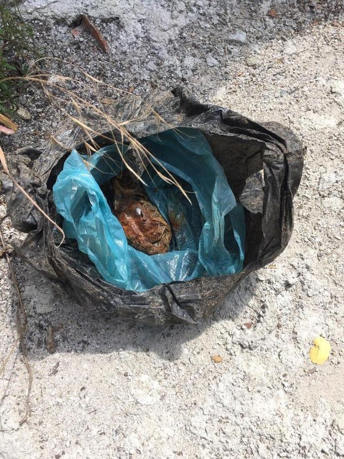 Tokat'ta fide dikmek istediği bahçesinde el bombası buldu
